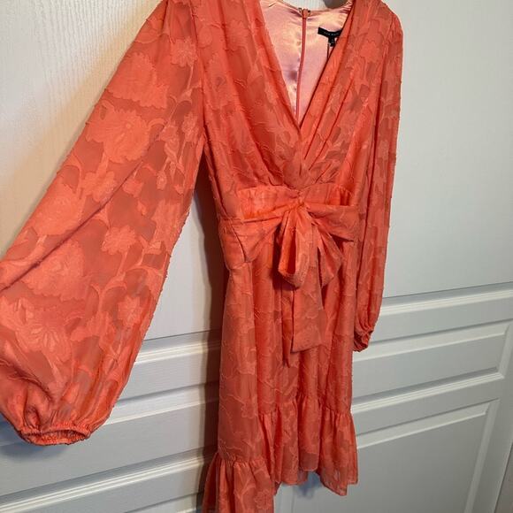 NWT Alex Marie Vibrant Coral Long Sleeve Dress sz 4 - Picture 3 of 5